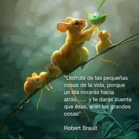 Vivir el aquí y el ahora